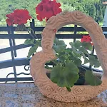 Apartma Solina *