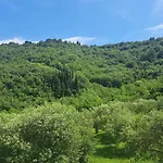 Apartma Solina * Portorož