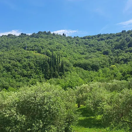 Apartma Solina * Portorož